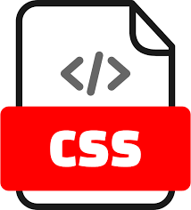 CSS Logo
